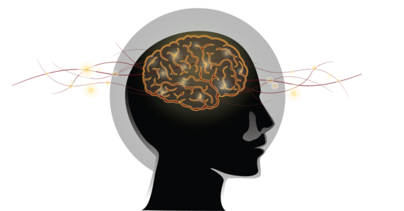 Side view of human head with brain and neurons highlighted