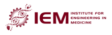 IEM Logo. 